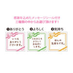 紅白キャンディの詳細 紅白キャンディの詳細